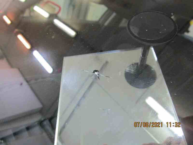 Замена стекла на mini paceman в Carglass